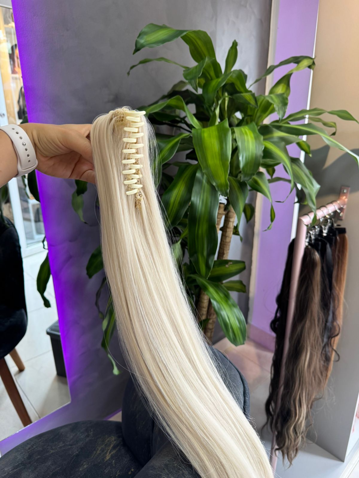 Coleta rubia